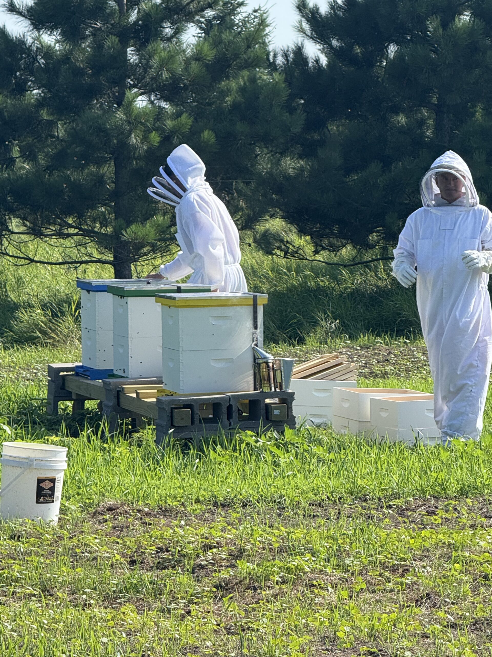 Connor and Carson working in the hives