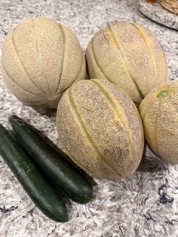 Melons and a cucumber from the garden