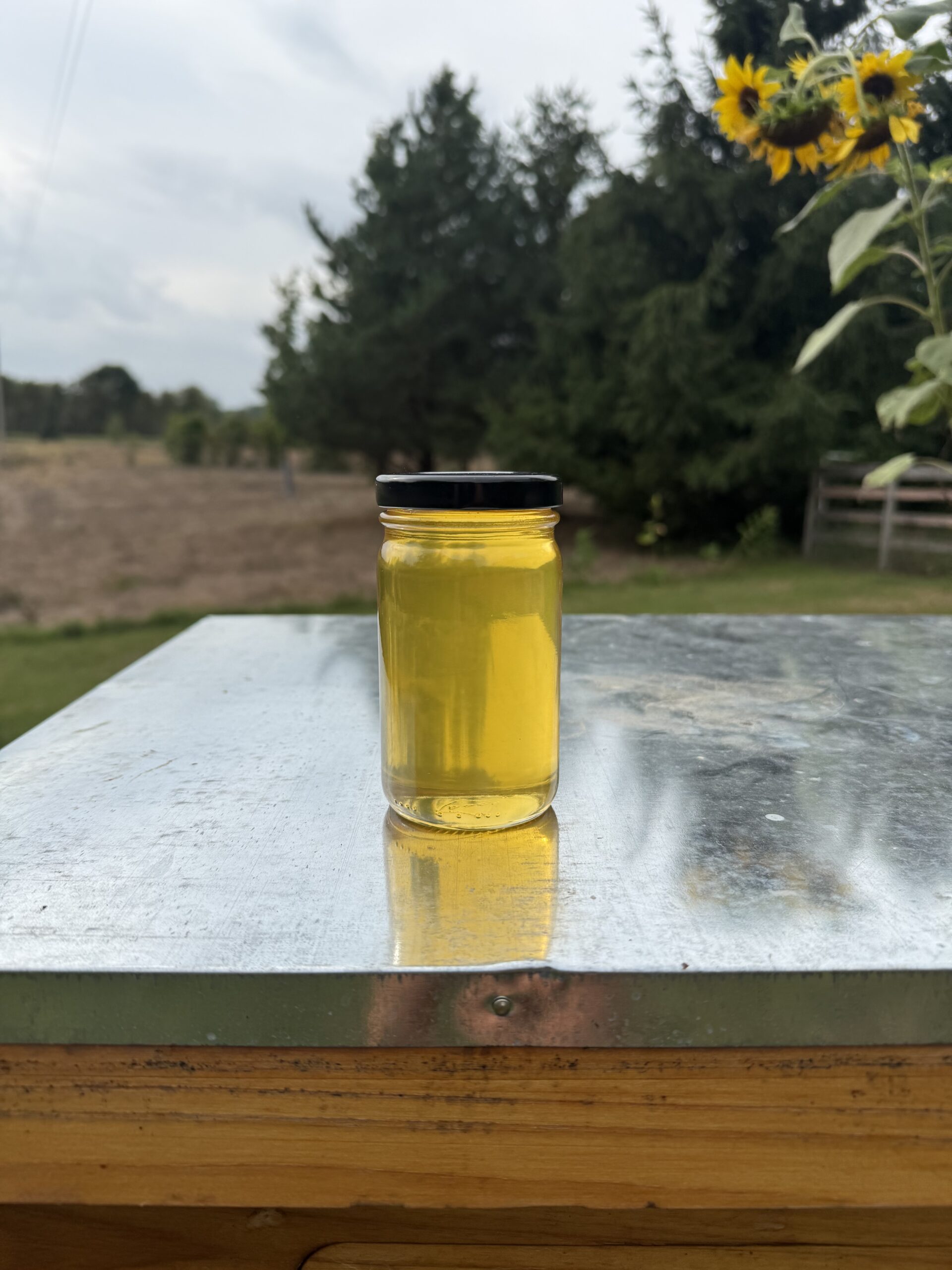11 oz economy jar of Lake Country Honey photographed at the farm