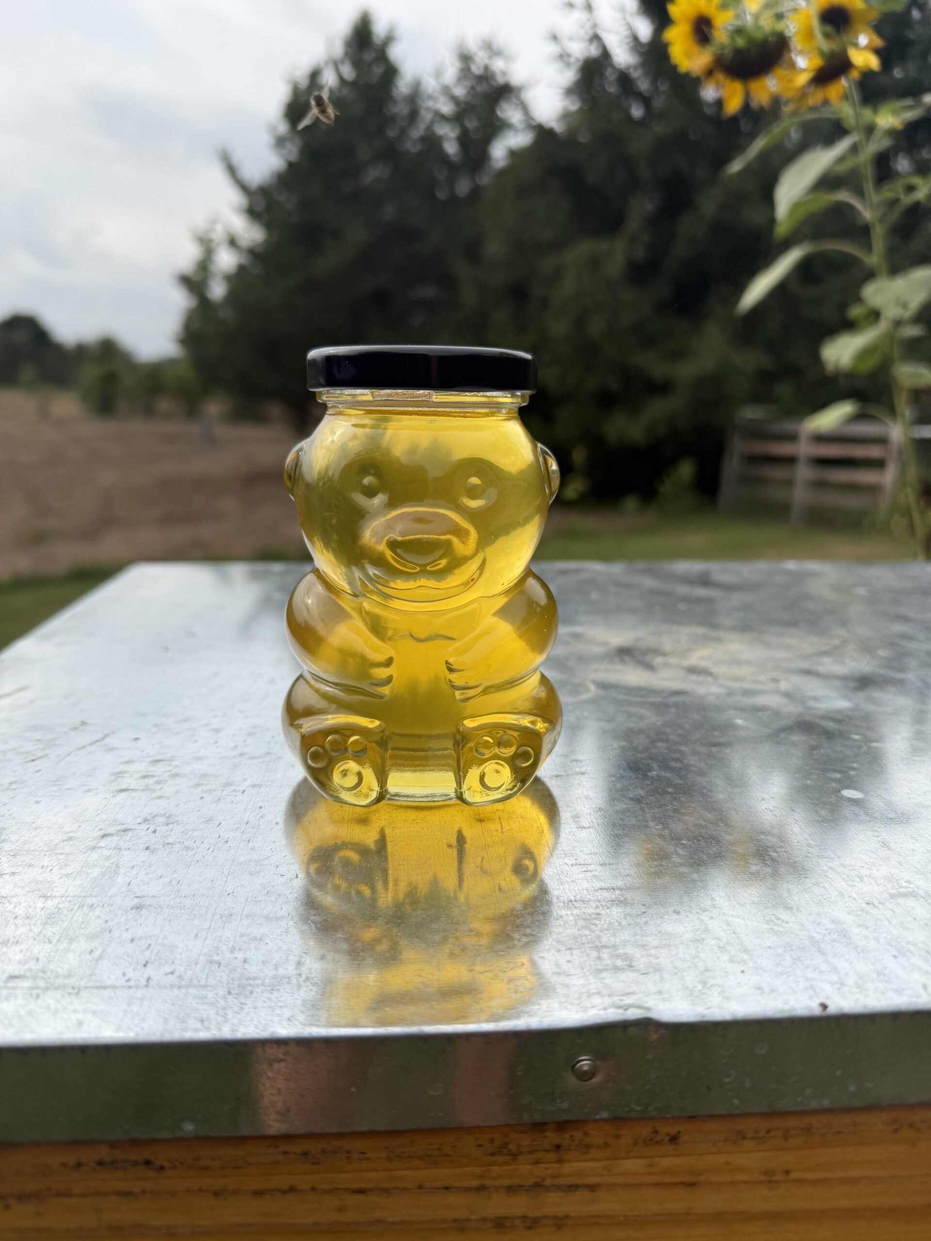 13 oz honey bear of Lake Country Honey photographed at the farm