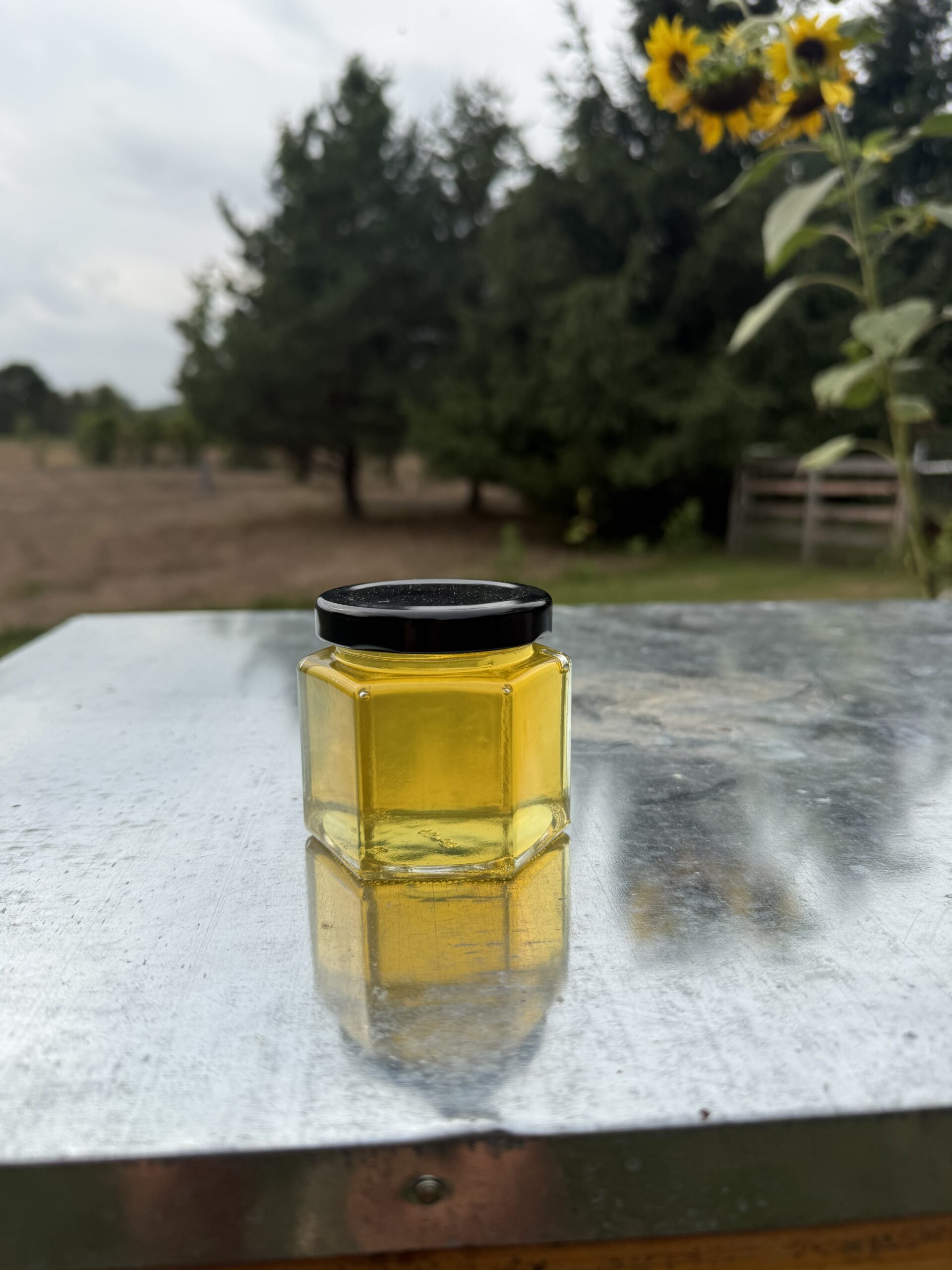 6 oz hex sampler jar of Lake Country Honey photographed at the farm