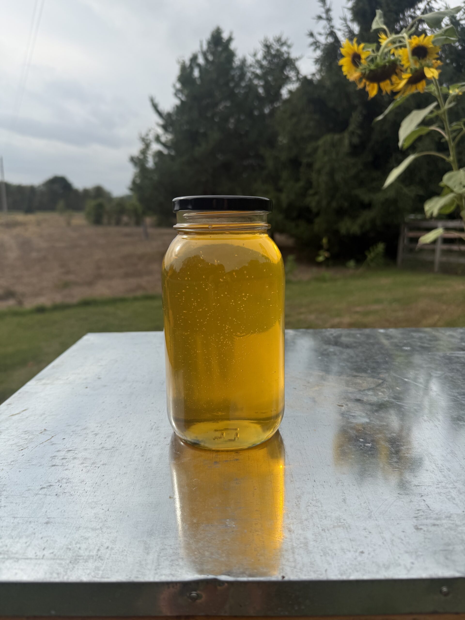 48 oz quart jar of Lake Country Honey photographed at the farm