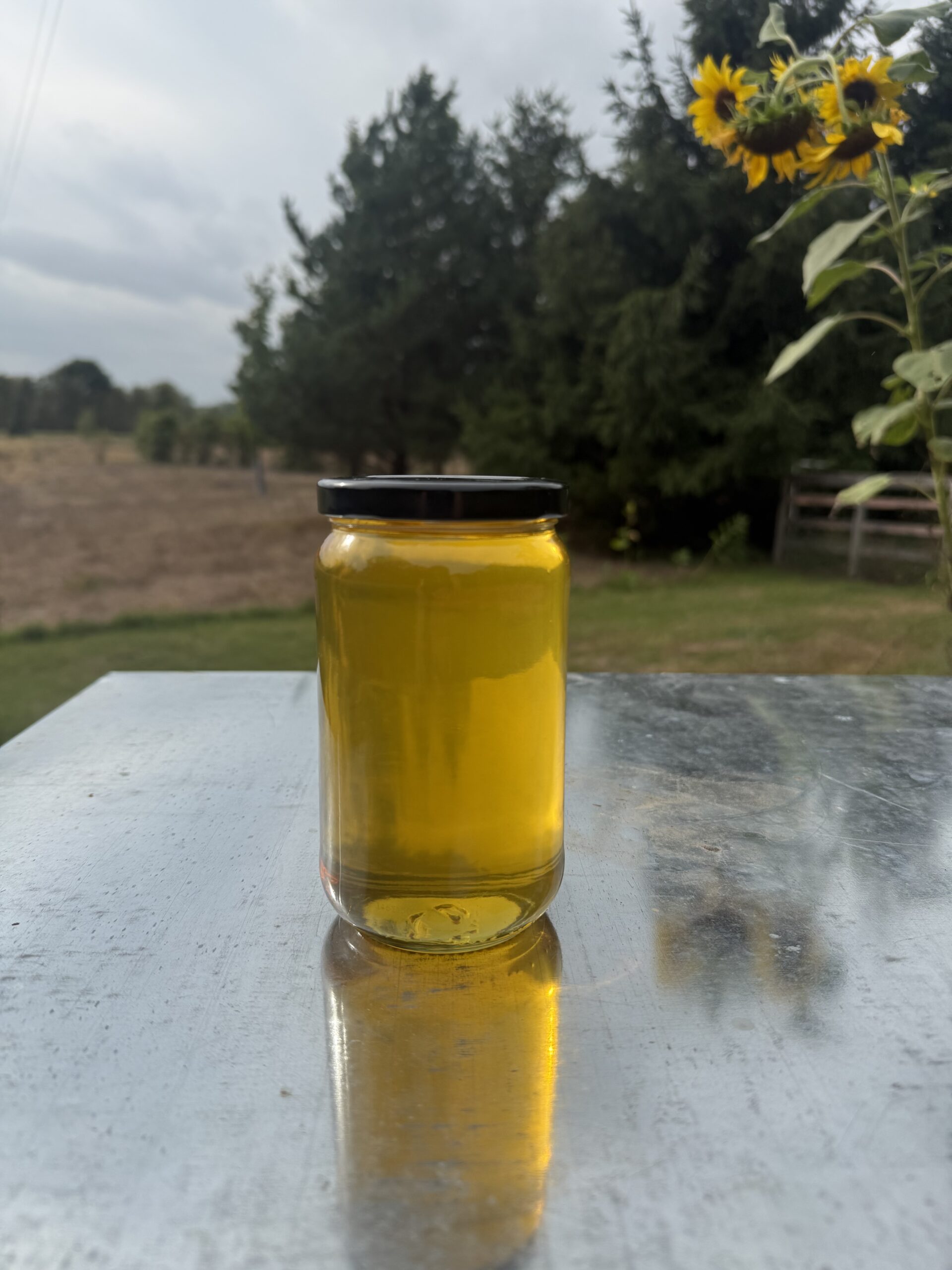 22 oz pint jar of Lake Country Honey photographed at the farm